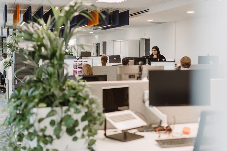 Interior view of the Hayes Solicitors LLP office, featuring an open-plan layout with employees at workstations and greenery enhancing the modern workspace.
